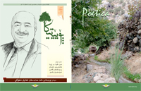 پۆیێتیکا 8